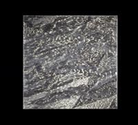 Dragon Skin Force Field 117